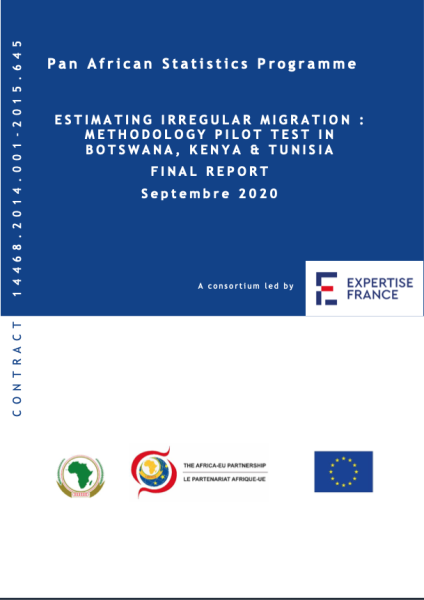 Estimating irregular migration: Methodology pilot test in Botswana, Kenya and Tunisia