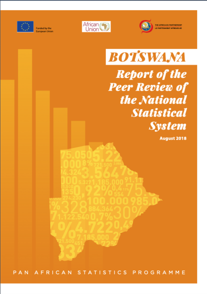 Report of the Peer Review of the National Statistical System
