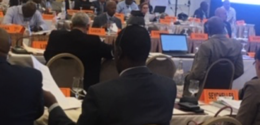 Activities of STATAFRIC launched in the sidelines of the 13th Session of CoDGs in Tunis