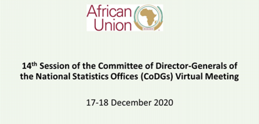 The 14th Session of the Committee of Director-Generals of the National Statistics Offices (CoDGs)