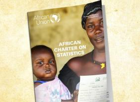 Promotion of the African Charter on Statistics.