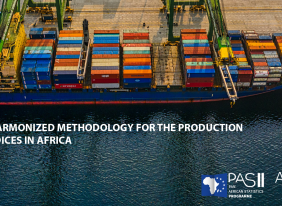 Guidelines for the Compilation of Trade Indices in Africa