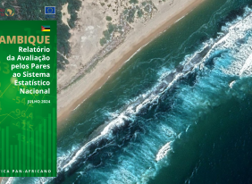 TRANSFORMING MOZAMBIQUE'S NATIONAL STATISTICAL SYSTEM