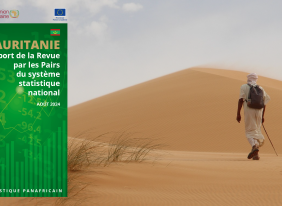 STRENGTHENING MAURITANIA'S STATISTICAL SYSTEM: PEER REVIEW REPORT PUBLISHED