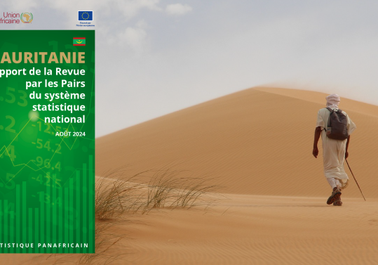 STRENGTHENING MAURITANIA'S STATISTICAL SYSTEM: PEER REVIEW REPORT PUBLISHED