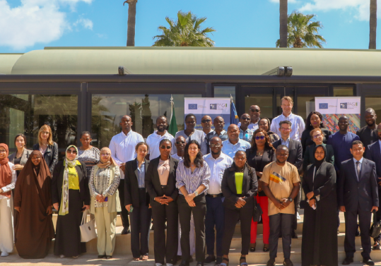 Trade statistics go public: African statisticians learn to write for all audiences