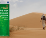 STRENGTHENING MAURITANIA'S STATISTICAL SYSTEM: PEER REVIEW REPORT PUBLISHED