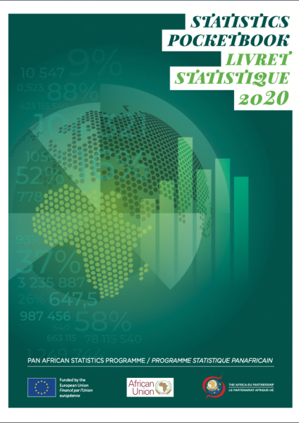 Statistics Pocketbook 2020
