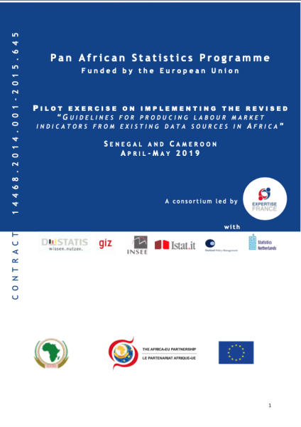 Pilot exercise on implementing the revised “Guidelines for producing labour market indicators from existing data sources in Africa” – Senegal and Cameroon