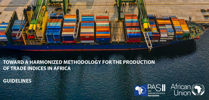 Guidelines for the Compilation of Trade Indices in Africa