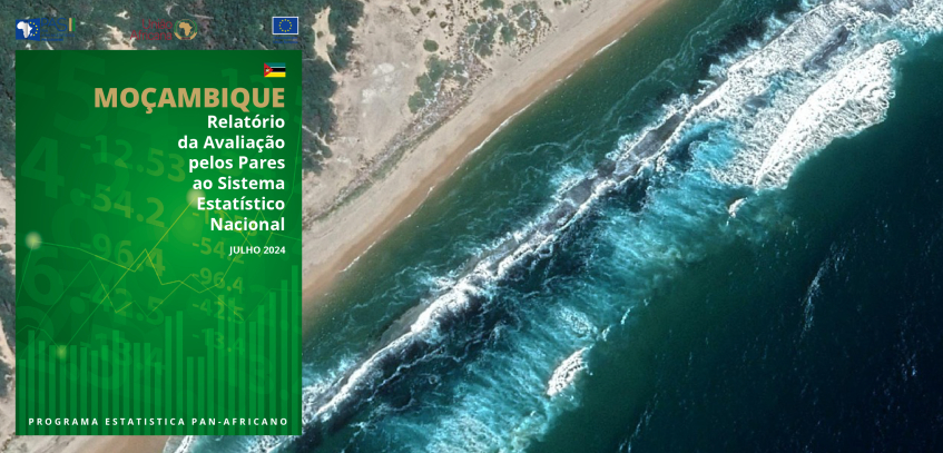 TRANSFORMING MOZAMBIQUE'S NATIONAL STATISTICAL SYSTEM