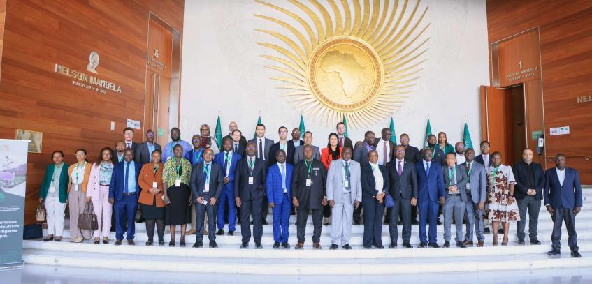 The 20th Session of the African Statistical Coordination Committee (ASCC)